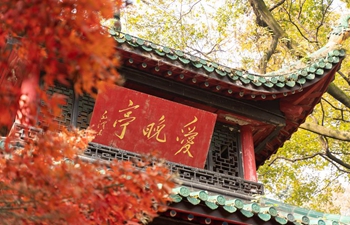 Autumn scenery of Yuelu Mountain in Changsha, central China's Hunan