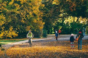 Autumn scenery at Park of the Fiftieth Anniversary in Brussels