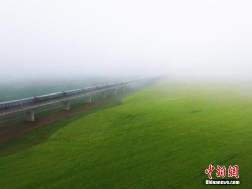 资料图：动车组穿越雨雾中的油菜花海宛若穿越时空。 杨艳敏 摄