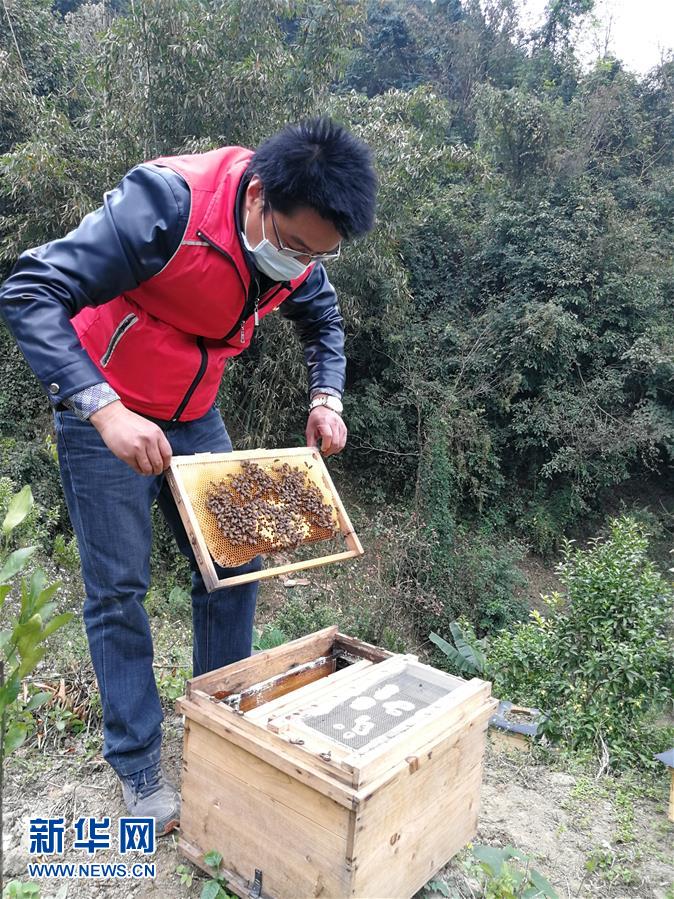 （在习近平新时代中国特色社会主义思想指引下——新时代新作为新篇章·习近平总书记关切事·图文互动）（4）锤炼意志　轻装上阵——党员干部在一线磨砺闪光故事