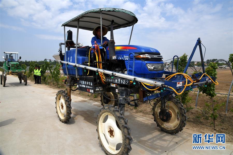 （在习近平新时代中国特色社会主义思想指引下——新时代新作为新篇章·习近平总书记关切事·图文互动）（8）新农事、新希望——夏收前田间新动态扫描