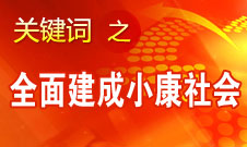 张平：必须确保到2020年全面建成小康社会